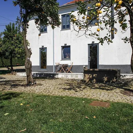 12 Casa D'avo *