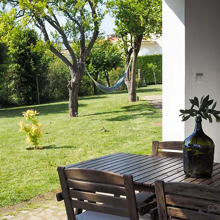 12 Casa D'avo Holiday home Albergaria-a-Velha