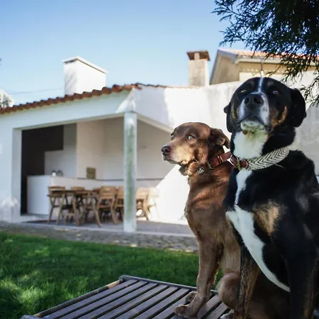 Holiday home 12 Casa D'avo Albergaria-a-Velha