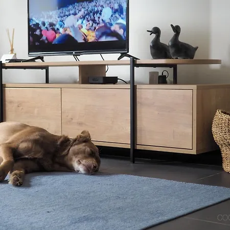 펜션 12 Casa D'avo