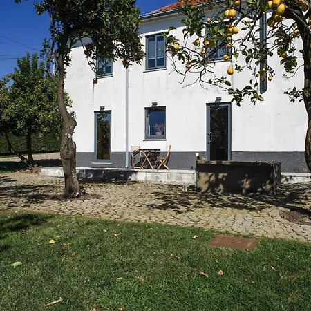 12 Casa D'avó Albergaria-a-Velha
