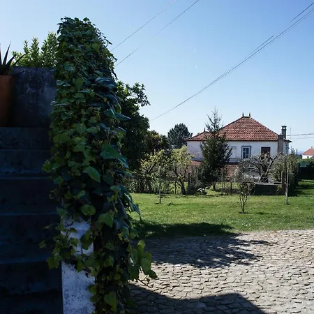 12 Casa D'avó