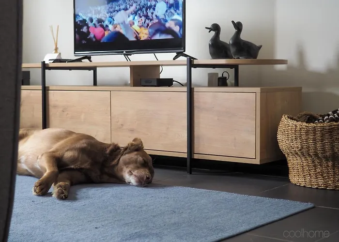 Hébergement de vacances 12 Casa D'avo