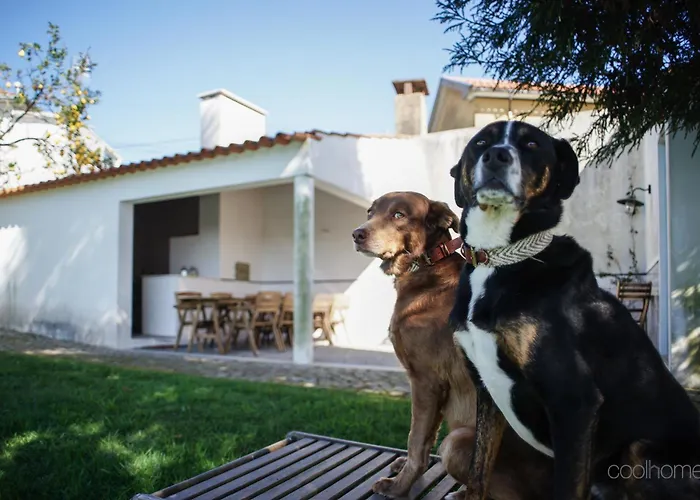 Hébergement de vacances 12 Casa D'avo *